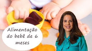 Alimentação do bebê de 6 meses [upl. by Aveneg]