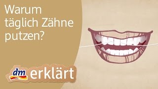 dm erklärt Warum täglich Zähne putzen [upl. by Eserehs]