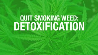 Quit Smoking Weed Detox [upl. by Darian163]