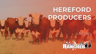 Hereford Producers  The American Rancher [upl. by Armitage]