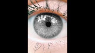 top 10 grey eye facts [upl. by Rockie460]