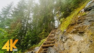 4K Virtual Walk through Beautiful Mountain Forest  Fascinating Comet Falls Mt Rainier Area [upl. by Aerdnael]