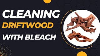 Driftwood Cleaning and Bleaching  Complete Tutorial [upl. by Eentirb]