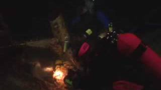 PADI Scuba Diving Lessons PADI Night Diver Course [upl. by Jonie356]