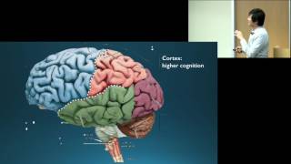 Dr Octavio Choi presents Brain Basics An Introduction to Cognitive Neuroscience [upl. by Asnerek]