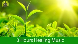 Deep Healing Music for The Body amp Soul  Relaxation Music Meditation Music [upl. by Ahsirtap]