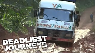 Deadliest Journeys  Cameroon Birds and Lizards [upl. by Ahsilam]