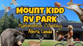 Mount Kidd RV Park and Campground Kananaskis Alberta Canada [upl. by Nnaihs]