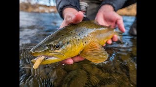 The Mop Fly Tying Tutorial [upl. by Jun]