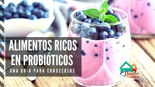 Alimentos que contienen probióticos [upl. by Ykceb]