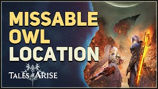 Missable Owl Tales of Arise Ship [upl. by Cloutman]