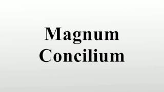 Magnum Concilium [upl. by Irdua]