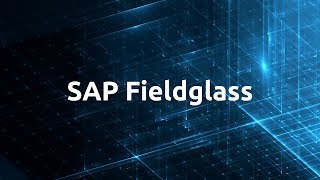 SAP Fieldglass [upl. by Enila171]