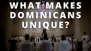 This is What Makes Dominicans Unique [upl. by Iahk]