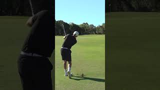 Drinky drops a Birdie [upl. by Milone]