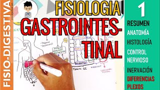 FISIOLOGIA GASTROINTESTINAL  RESUMEN Estructura Control Nervioso SN ENTERICO Sistema Digestivo1 [upl. by Aihtnis]