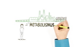 Metabolismus – o přeměně látek – NEZkreslená věda III [upl. by Lilli219]