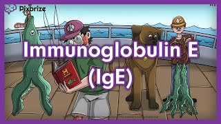 Immunoglobulin E IgE Mnemonic Preview for USMLE [upl. by Violeta]