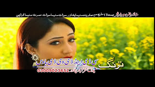 Khandani Jawargar Song 07  Pashto New HD SongsPushto New HD Film2017  Jahangir KhanShahid Khan [upl. by Casimire]