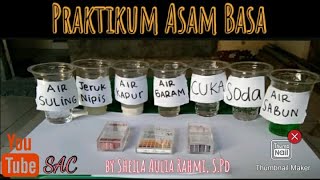 PRAKTIKUM ASAM BASA [upl. by Cicely]