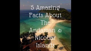 5 Amazing Facts About The Andaman amp Nicobar Islands [upl. by Ayahs511]