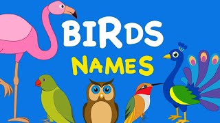 Birds Name  Birds Name in English  Birds Name And their sounds  Different types of Birds [upl. by Etnaihc]