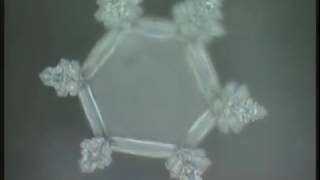 Masaru Emoto  Messages de lEau Documentaire [upl. by Nywroc]