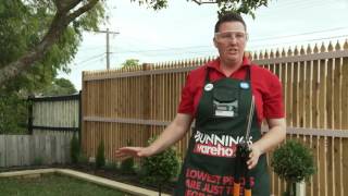 How To Trim Hedges  DIY At Bunnings [upl. by Yorel5]