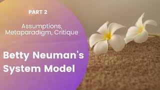 Assumptions Metaparadigm Critique Betty Neumans System Model Part 2 [upl. by Aiuhsoj]