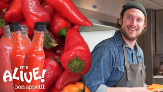 Brad Makes Fermented Hot Sauce  Its Alive  Bon Appétit [upl. by Ransome972]