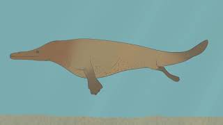 From Feet to Flippers The Evolution of Whales [upl. by Zeb]