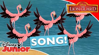 🎵 Go Go Flamingo  The Lion Guard  Disney Kids [upl. by Neicul]