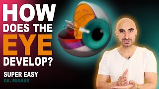 Embryology of the Eye Easy to Understand [upl. by Kenlee]