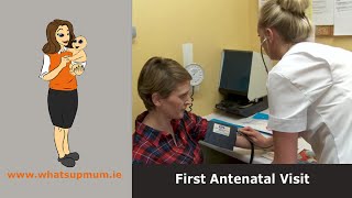 First Antenatal Visit [upl. by Aiam]