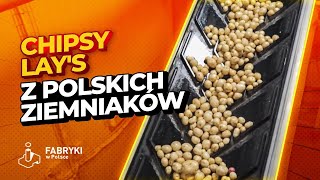 Jak powstają chipsy Lays  Fabryki w Polsce [upl. by Naltiak]