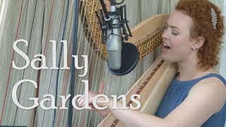 Sally Gardens – HARP  VOICE ChristyLyn [upl. by Alyson]