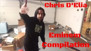 Chris DElia  Eminem Compilation [upl. by Acnairb260]