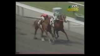 MATCH RACE  Quarter Horse vs Thoroughbred [upl. by Freiman752]