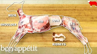 How to Butcher an Entire Lamb Every Cut of Meat Explained  Handcrafted  Bon Appetit [upl. by Gussman164]