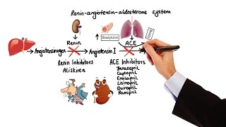 Pharmacology  HYPERTENSION amp ANTIHYPERTENSIVES MADE EASY [upl. by Carolus913]