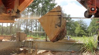 Quarter Sawing Oak the PROPER way [upl. by Alvie]