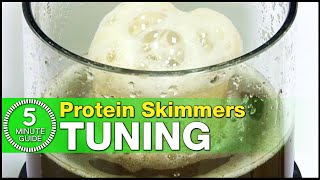 The best way to tune your Protein Skimmer Learn how in just 5minutes [upl. by Kizzie]