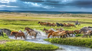 Splendid landscapes in Inner Mongolia [upl. by Eldreeda180]