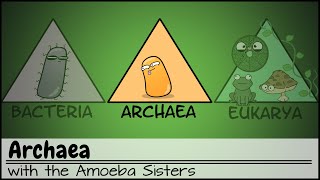 Archaea [upl. by Klehm338]