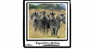 Expository Writing Primary [upl. by Seftton]