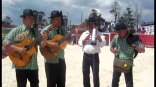 Grupo Variedades del Sur  Campesino Salsita [upl. by Faludi]