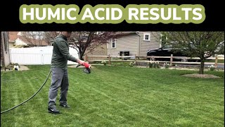 Results of using humic acid spoon feeding your lawn amp HYDRETAIN [upl. by Viking]