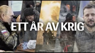 Allt om Rysslands invasion av Ukraina • Ett år av krig • Specialsändning [upl. by Stulin]