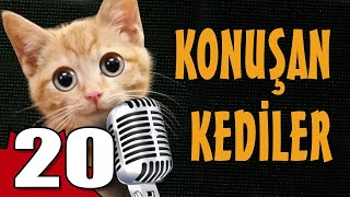 Konuşan Kediler 20  En Komik Kedi Videoları [upl. by Neumann641]