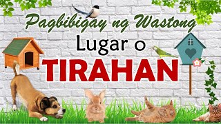 PAGBIBIGAY NG WASTONG LUGAR O TIRAHAN SA MGA ALAGANG HAYOP [upl. by Nerti]